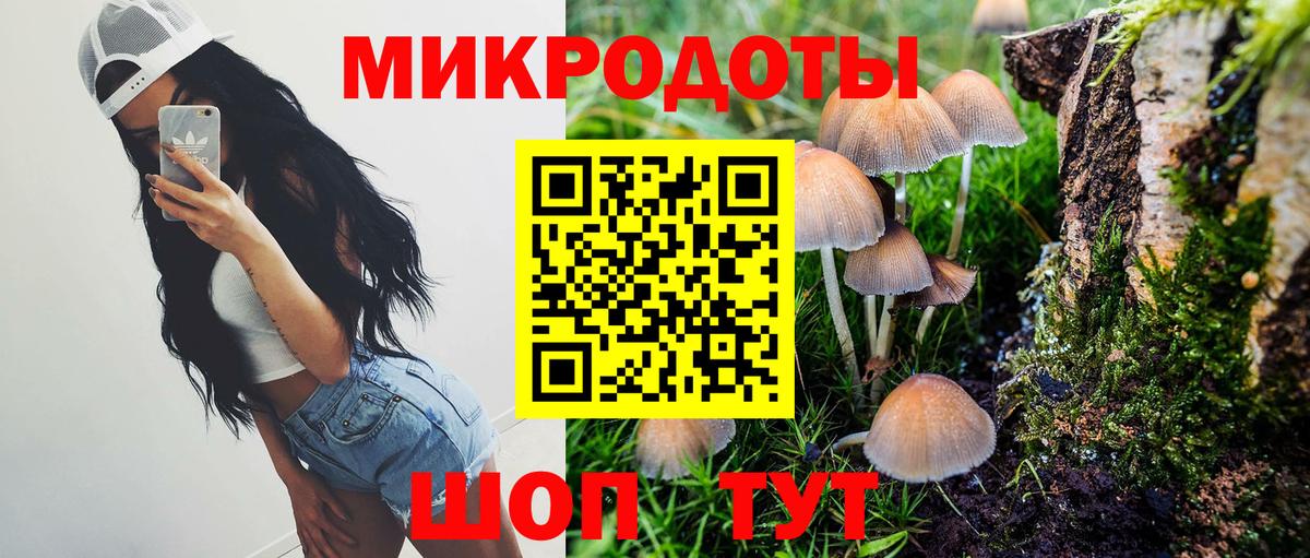 Верхний Уфалей  Псилоцибиновые грибы мухоморы  Вход с VPN  Галлюциногенные грибы GOLDEN TEACHER 